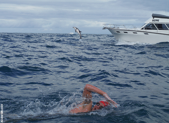 Danger Stalked, but That Didn’t Stop Adam Walker from Swimming 7 Oceans